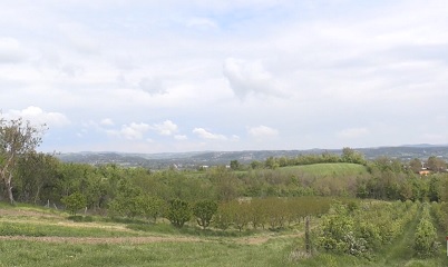 ZDRAVO SELO