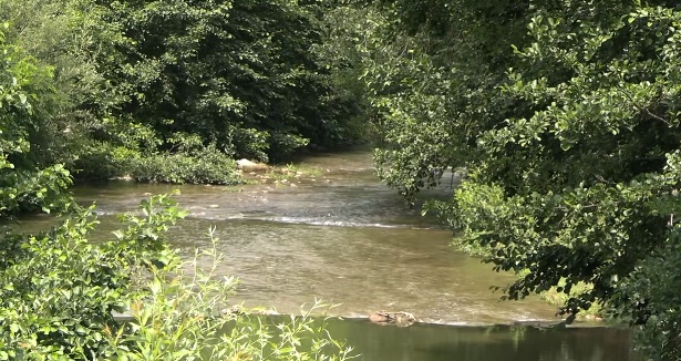 Povećana aktivnost poskoka u klisuri reke Gradac – apel na oprez posetilaca